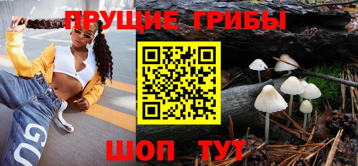 Псилоцибиновые грибы Psilocybine cubensis  Вход с VPN  Анжеро-Судженск 