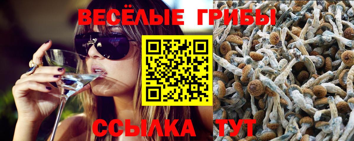 Галлюциногенные грибы MAGIC MUSHROOMS Анжеро-Судженск